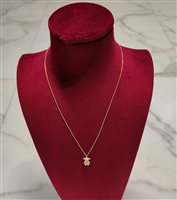 Halskette Crivelli Dame in Rosègold Diamante 289-VP28733